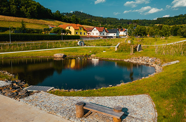Lesopark Pod Kalichem, Sušice