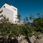 strom-offices-kancelare-s-rukopisem-prirody-plzen-3