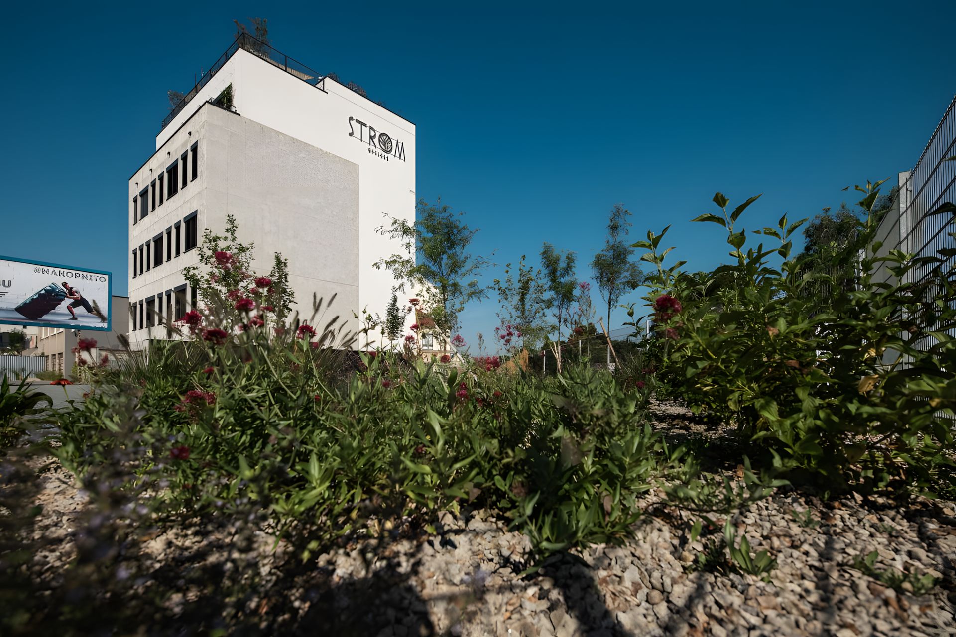 strom-offices-kancelare-s-rukopisem-prirody-plzen-3